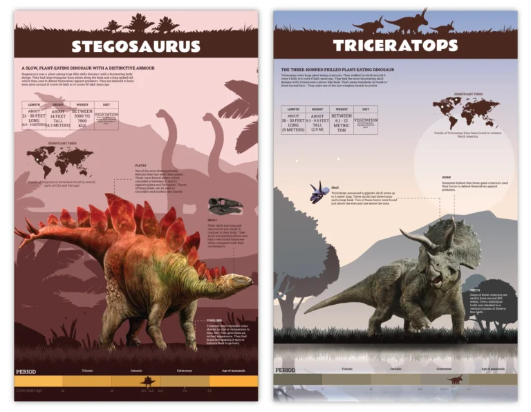 Museum Exhibit Design